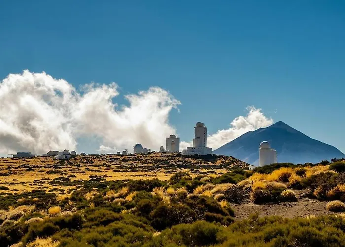 Eden Oasis Boho 5 * Las Galletas