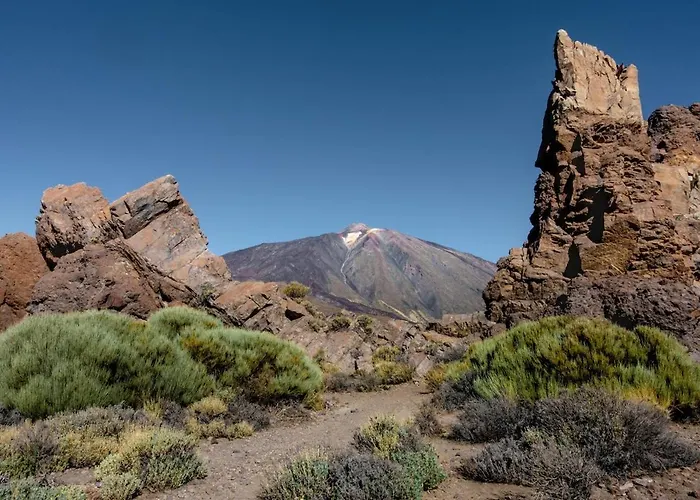 Eden Oasis Boho 5 Las Galletas